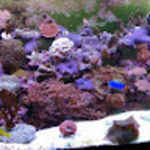 Meet your Posher, Ak